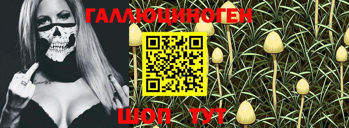Псилоцибиновые грибы GOLDEN TEACHER Гудермес